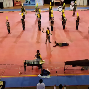 Tema Jawa Barat DC 2016